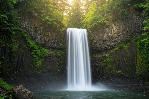 π² Discovering the Beauty of Eagle Falls Washington: A Complete Guide eagle falls washington